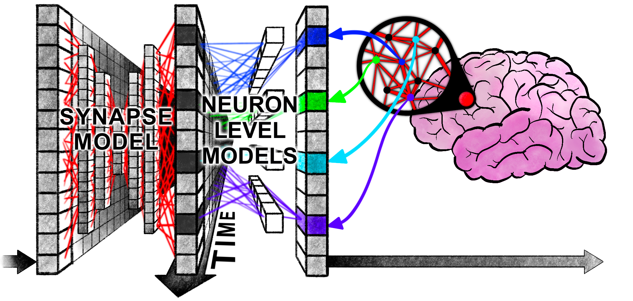 The CTM: a model that uses time as a tool